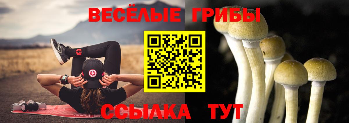 Галлюциногенные грибы Psilocybine cubensis  Вход с VPN  Павловский Посад 